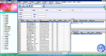 数码电脑ERP定制 提升企业效率的新引擎